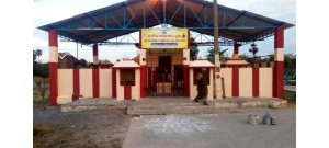 அரசன் கழனி